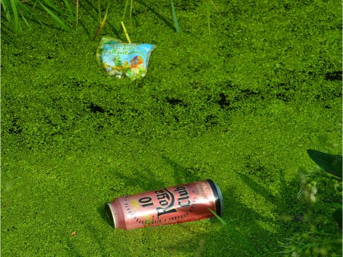 D&eacute;ch&egrave;teries