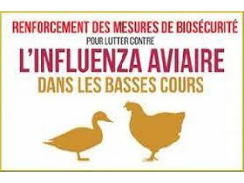 Influenza Aviaire - Renforcement des mesures de biosécurité.