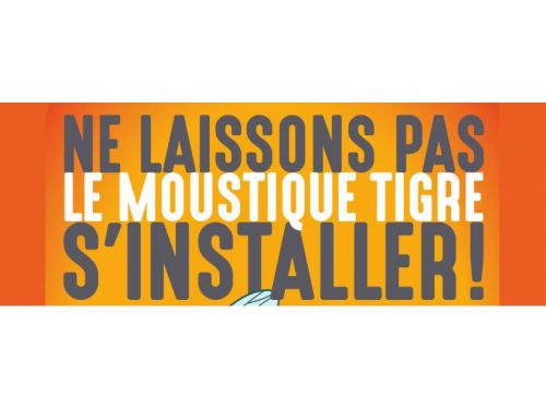 Moustique Tigre