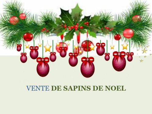 Opération sapins de Noël