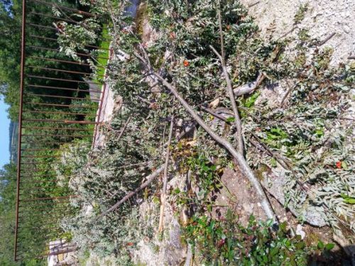 Stop aux incivilit&eacute;s