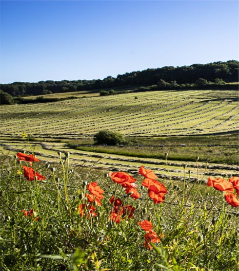 La commune de Ladornac est fleurie.